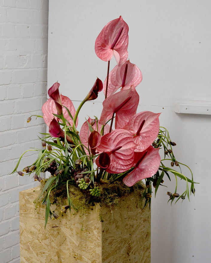Modern Romance Trough Arrangement