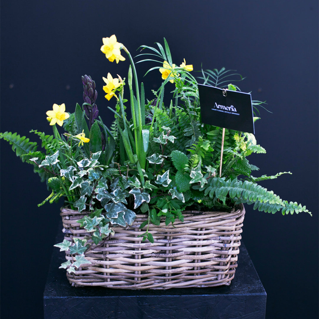 Planter Workshop