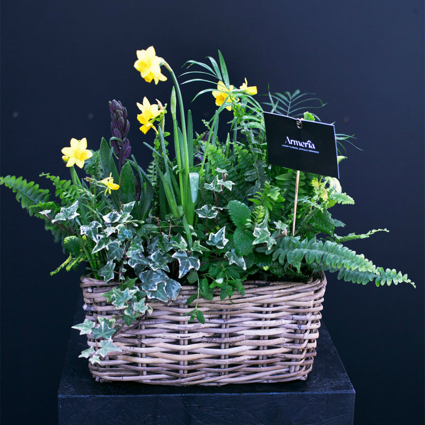Planter Workshop