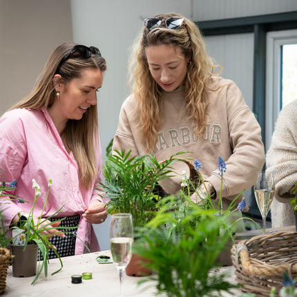 Planter Workshop